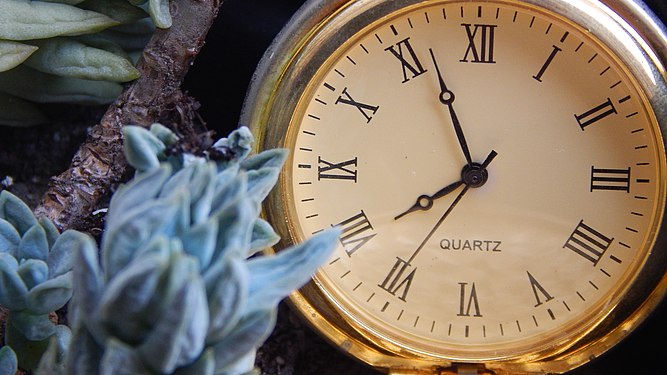 Antique Clock in the Garden