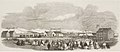 Opening of the First Railway in New Zealand, at Christchurch, Canterbury Province - ILN 1864.jpg