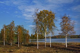 Pühajärve kaskedega kaldapealne