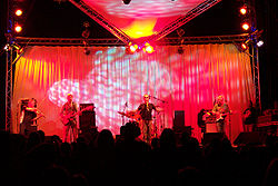 Oysterband headlining the 2006 Wickham Festival