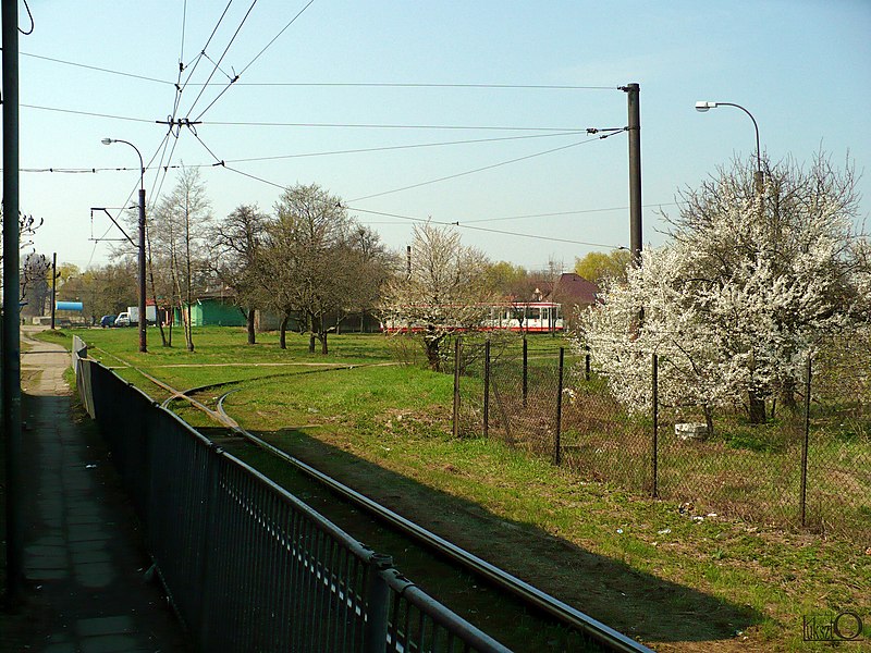 File:Ozorków, pętla tramwaju lini 46 - panoramio.jpg