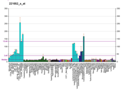 PBB GE C12orf11 221652 s bei fs.png