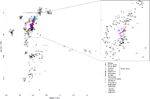 Principal component (PC) analysis of the variation of autosomal SNPs in Western Balkan populations in Eurasian context per Kovačević et al. (2014)