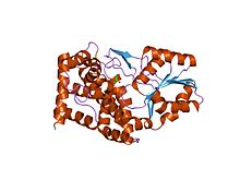 PDB 1jqa EBI.jpg