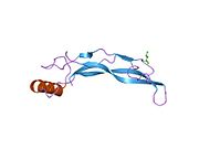 1reu: ساختمان پروتئین ۲ ریخت‌زایی استخوان، جهش نوع L51P
