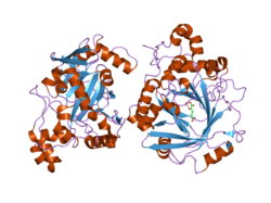 PDB 2gp5 EBI.png