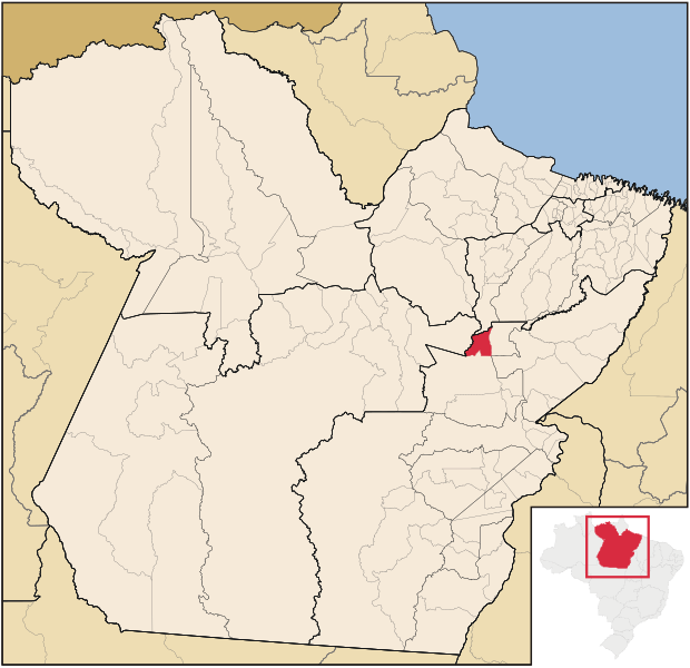 File:Para Municip Tucurui.svg