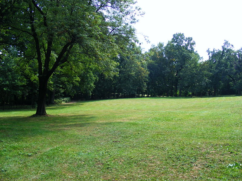 File:Park in Klimkówka bk07.JPG