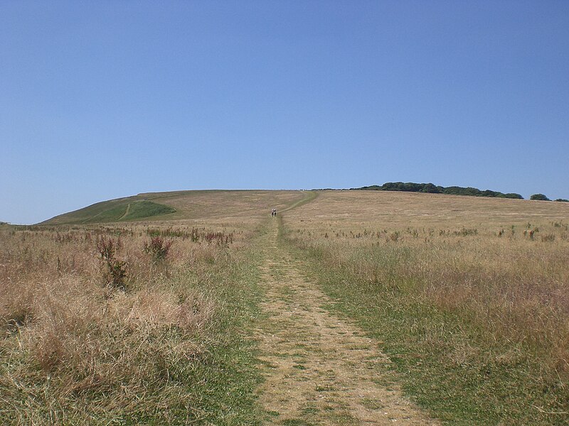 File:Path up Tennyson Down.JPG