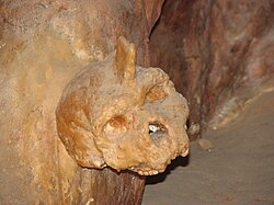 Petralona skull covered by stalagmite.jpg