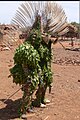 Photo The Art of Burkina Faso