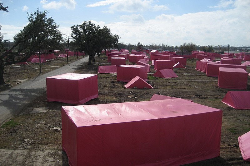 File:PinkProjectD10Dec07.jpg