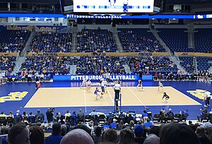 Pitt completing an 18-0 ACC conference season with a defeat of Louisville at the Petersen Events Center on November 27, 2019 PittVolleyball2019Pete.jpg