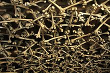 Poland - Czermna - Chapel of Skulls - ceiling.jpg