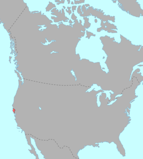 Pomoan languages Language family of California, US