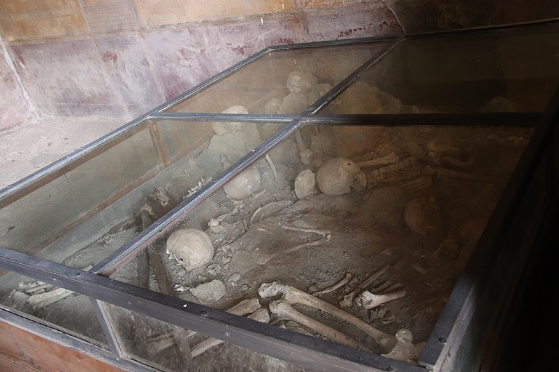 File:Pompeii Ruins Skeletons of Robbers Killed in Tunnel Collapse (48442728001).jpg