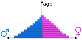 Population pyramid Graphical illustration showing distribution of age groups in a population
