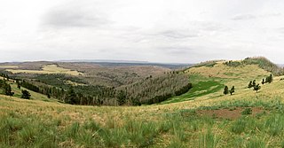 <span class="mw-page-title-main">Escudilla Mountain</span> Landform in Apache County, Arizona