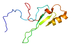 Protein MECP2 PDB 1qk9.png