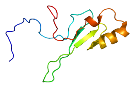 Methyl-CpG-binding domain