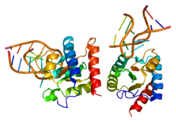 پروتئین NHP2L1 PDB 1e7k.png