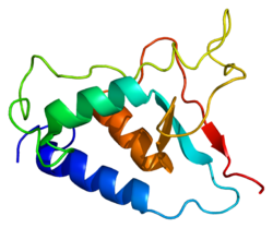 Протеин USP15 PDB 1w6v.png