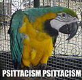 Psittacism.jpg