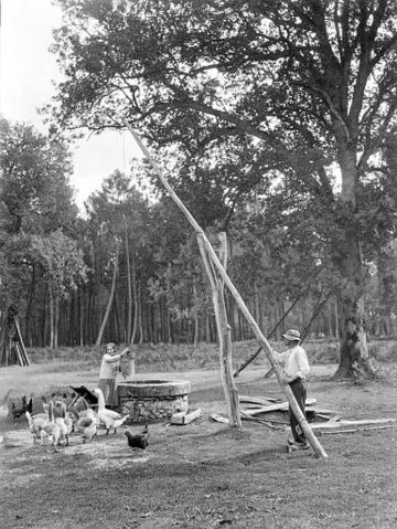 Puits à balancier des Landes de Gascogne