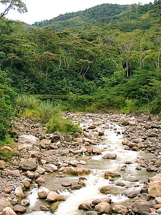 <span class="mw-page-title-main">Quinimarí River</span> River in northwestern Venezuela