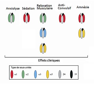 <span class="mw-page-title-main">GABRA2</span> Protein in humans