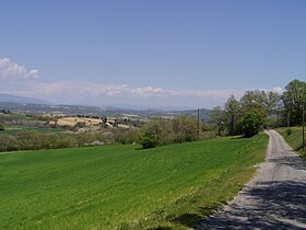 A Route départementale 505 (Alpes-de-Haute-Provence) cikk szemléltető képe