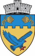 Saschiz coat of arms