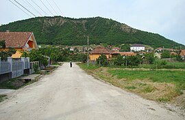 View of Lopadea Nouă