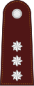 RTP OF-2 (Капитан полиции) .svg