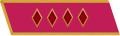 Jacket collar patch and Gymnastyorka