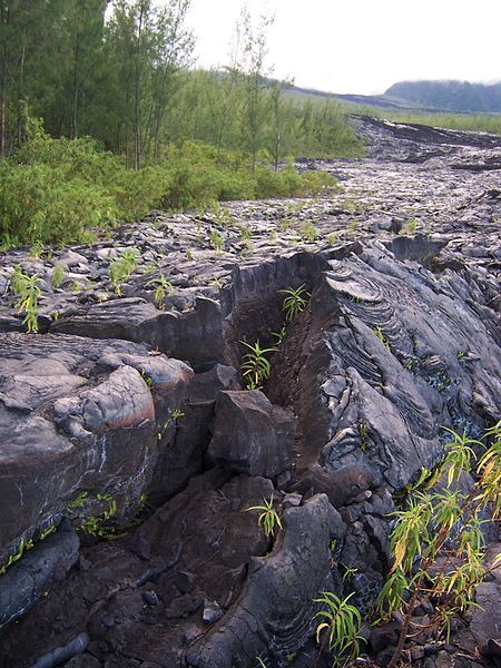 Image:ReunionFournaise Coulee2004.JPG