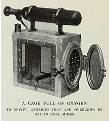 Resuscitation cage with an oxygen cylinder serving as a handle used to revive a canary for multiple uses in detecting carbon monoxide pockets within mines Revival cage.jpg