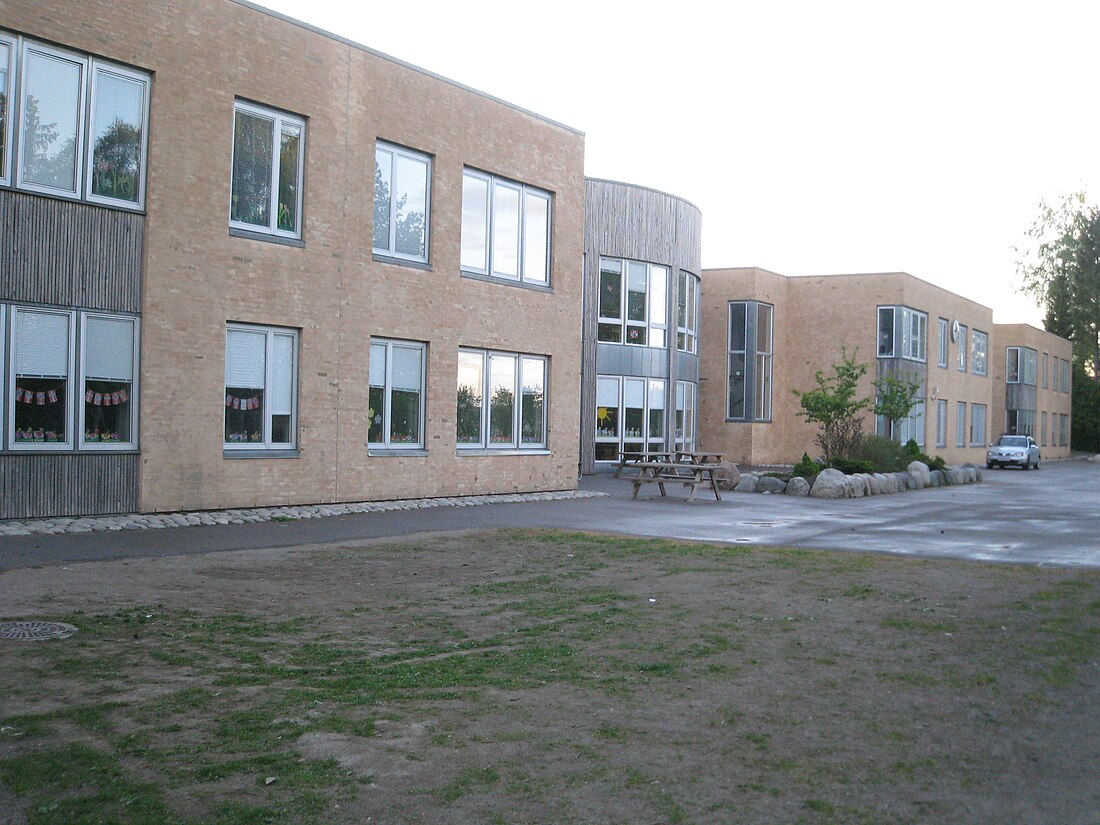 Ringshaug skole