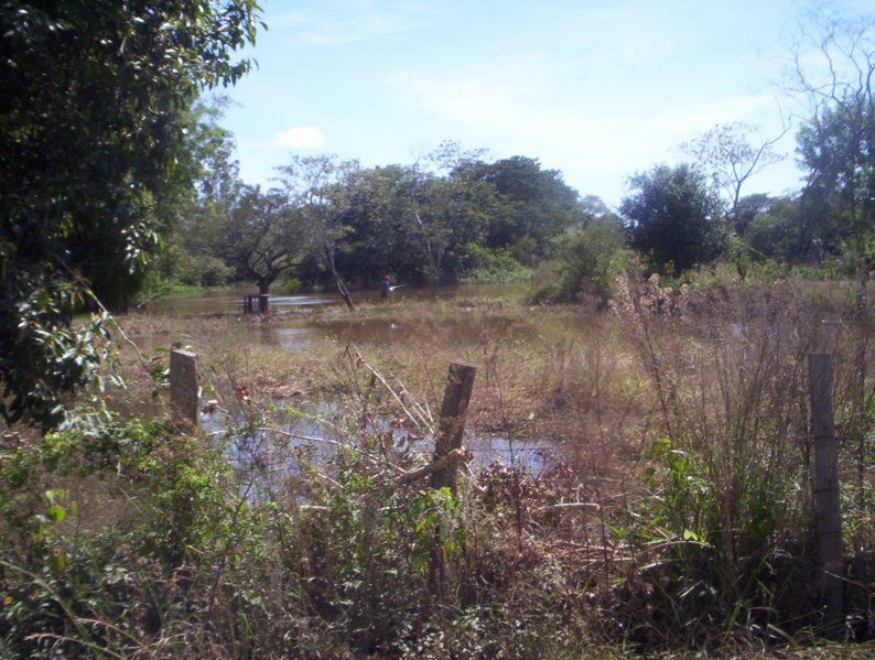 File:Rio Itapetininga 03.jpg