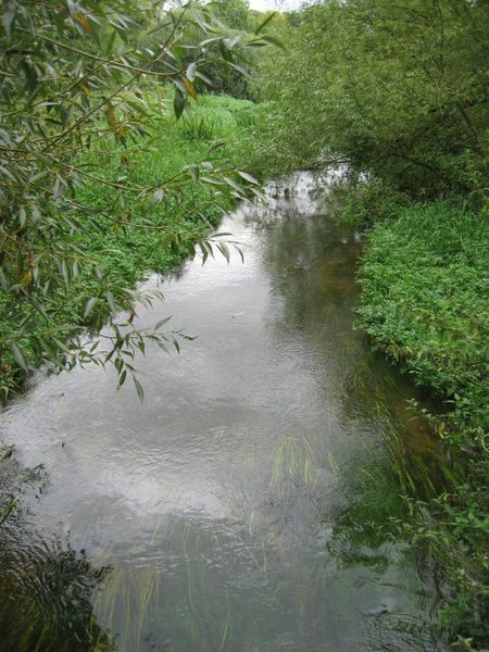 File:River Wissey - geograph.org.uk - 544156.jpg