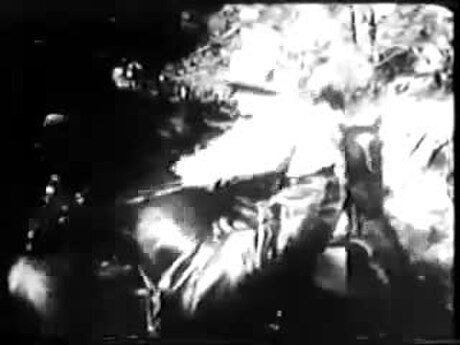 Robbery Under Arms (1920 film)