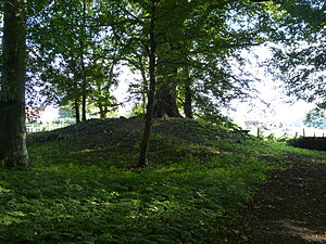 Rosenberg Tower Hill