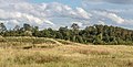 * Nomination Walking route along sand sculptures in the Kuinderbos-Flevoland. (Rough grassland along the route). --Agnes Monkelbaan 04:40, 10 October 2020 (UTC) * Promotion  Support Good quality. --Ermell 06:23, 10 October 2020 (UTC)