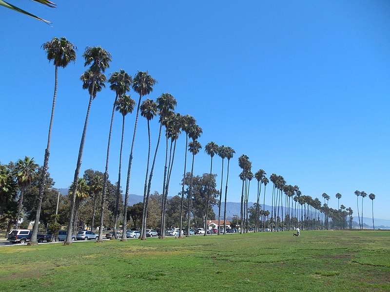 File:SB EastBeachPark 20140909.jpg