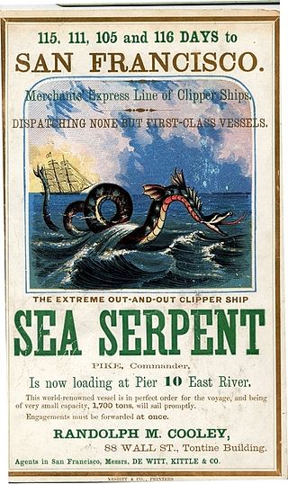 <i>Sea Serpent</i> (clipper) Extreme clipper launched in 1850