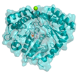 Thumbnail for Serine C-palmitoyltransferase