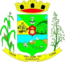 Wappen von São José do Hortêncio