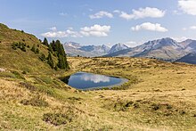 Fichier:Scheideggseeli_(1).jpg