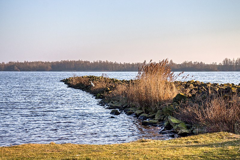 File:Schokkerhaven (Flevoland). 02-03-2021 (actm.) 11.jpg