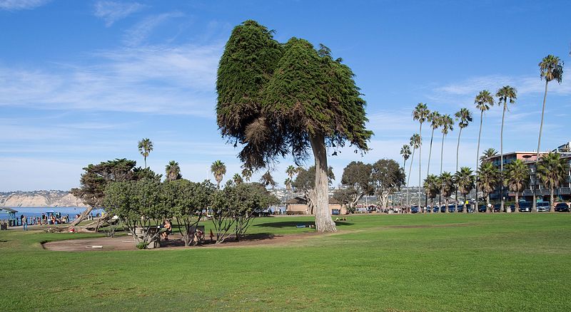 File:Scripps Park (70357).jpg